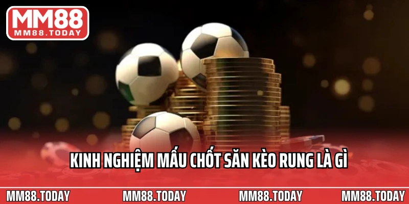 Kinh nghiệm mấu chốt săn kèo rung là gì 
