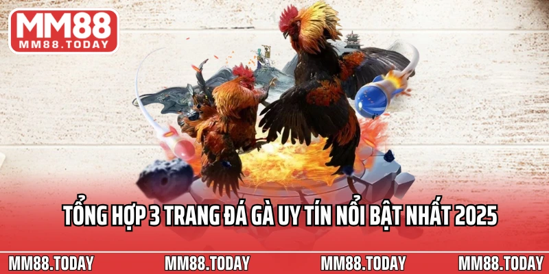 Tổng hợp 3 trang đá gà uy tín nổi bật nhất 2025